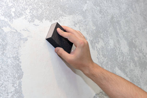 Best Residential Mold Inspection & Testing  in Ecru, MS