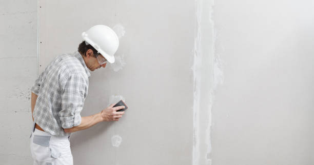 Best Asbestos and Lead Testing During Mold Inspection  in Ecru, MS