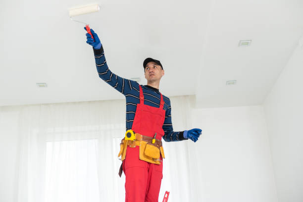 Reliable Ecru, MS Mold Removal Solutions