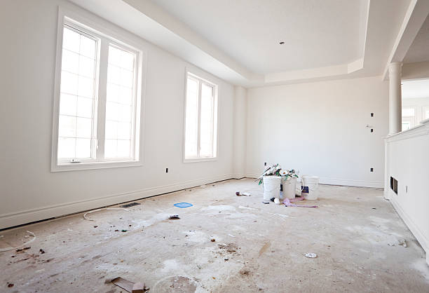 Best Mold Remediation for Vacation Homes  in Ecru, MS