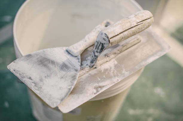 Best Real Estate Mold Inspection  in Ecru, MS