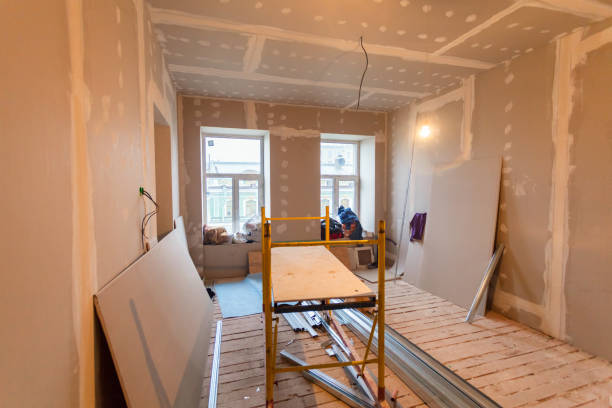 Best Water Damage & Mold Remediation  in Ecru, MS
